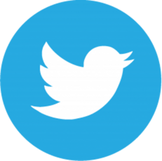 TwitterIcon
