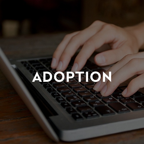 blog_images_adoption_1.jpg